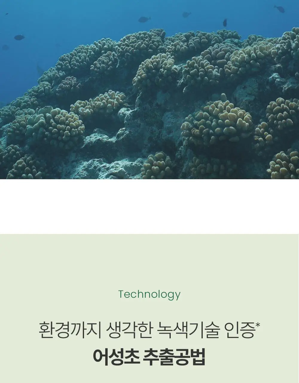 [산뜻진정] 구달 맑은 어성초 진정 쿨링 선스틱 19g 1+1 기획 상세페이지 17